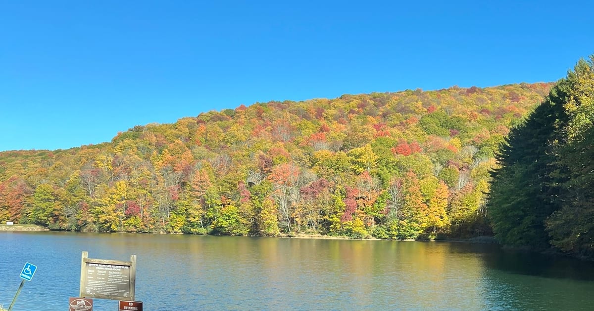 A hillside in full orange, red and yellow fall color above a still mountain lake near Asheville on a clear October morning