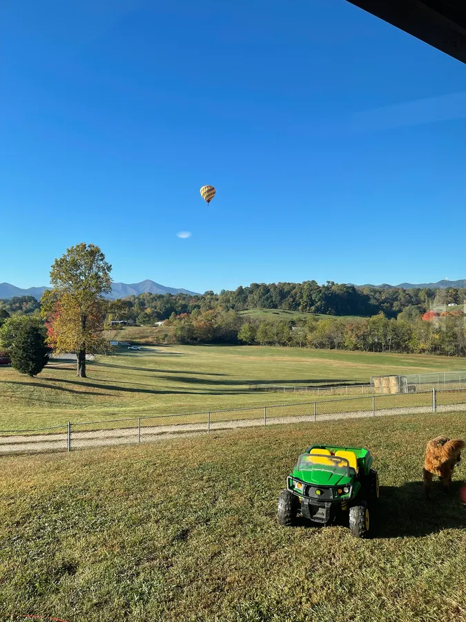 Hot air balloon in a blue sky over a Candler backyard, a kid's toy tractor and a dog in the foreground
