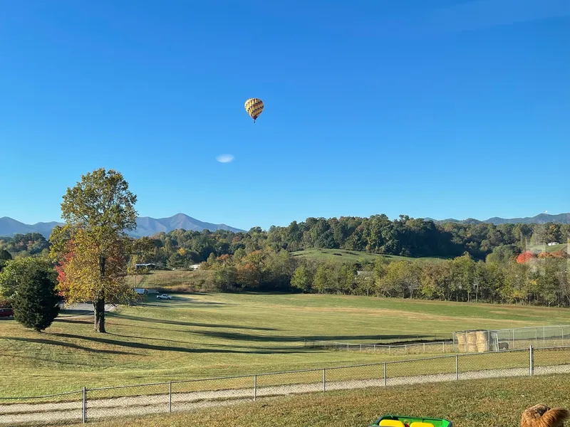 A hot air balloon in a clear blue sky over a Candler backyard, a kid's toy tractor and a dog in the foreground